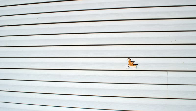 Siding Maintenance Solutions