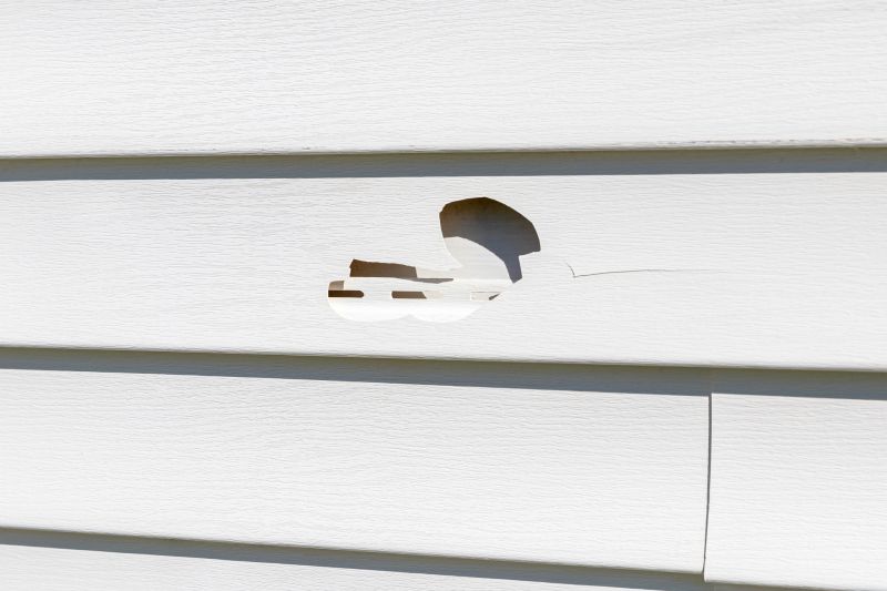 Professional Vinyl Siding Repair