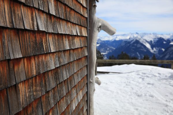 Cedar Siding Repair in Blaine