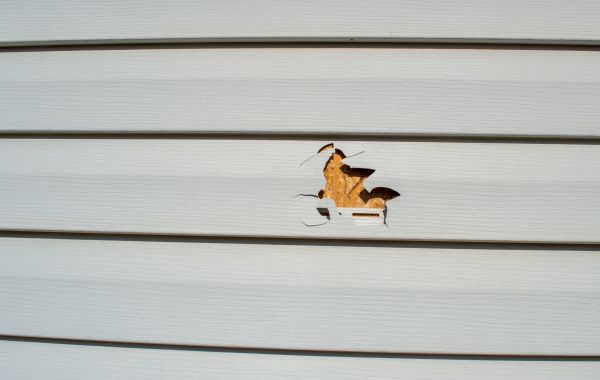 Siding Hole Patching in Blaine