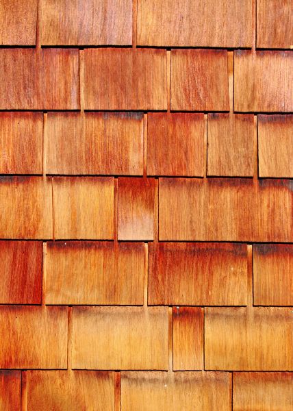 Wood Siding Replacement in Blaine